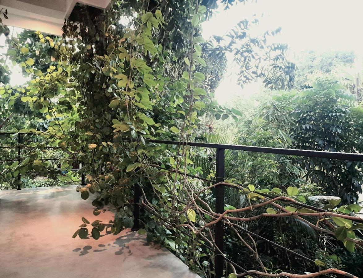 Weligama Bay Watsila Resort Екстер'єр фото