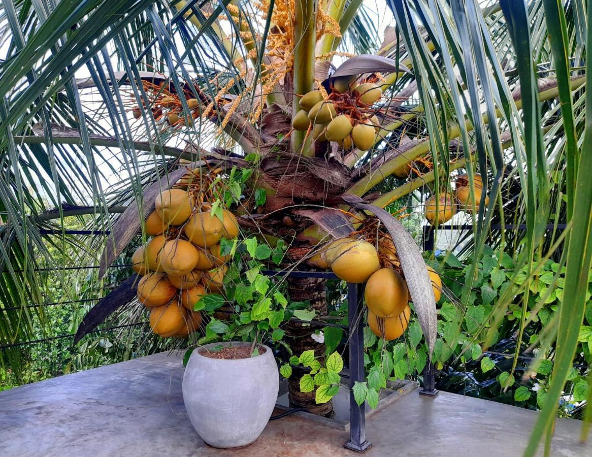 Weligama Bay Watsila Resort Екстер'єр фото